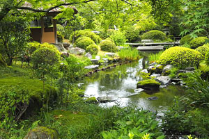 天使の里・庭園便り