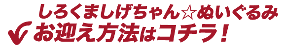 しろくま しげちゃん☆ぬいぐるみ お迎え方法はコチラ！