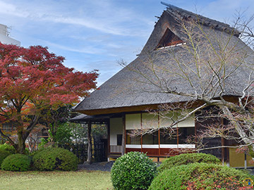 栖鳳桜 記念植樹会