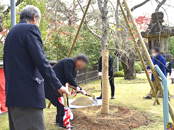 栖鳳桜 記念植樹会