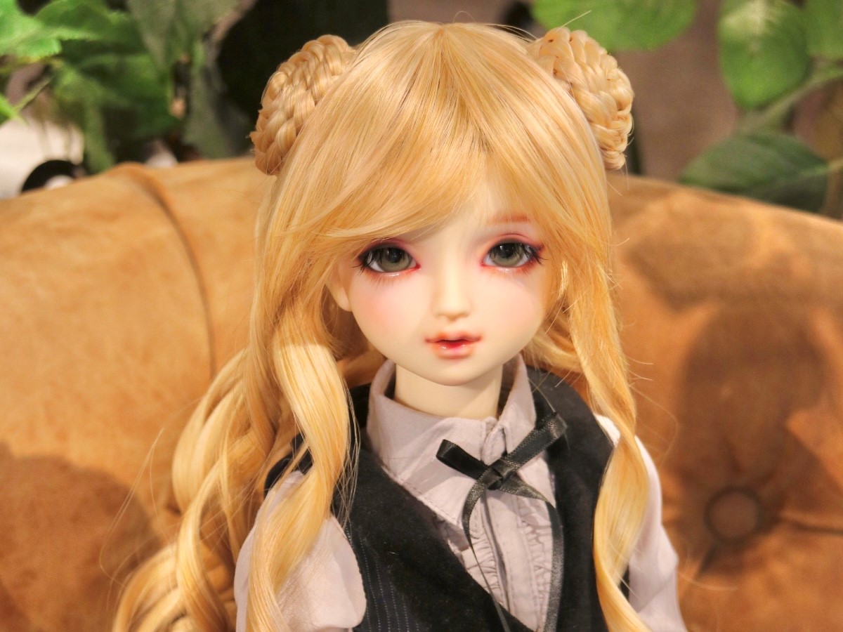 SDワンオフモデルお披露目のご案内