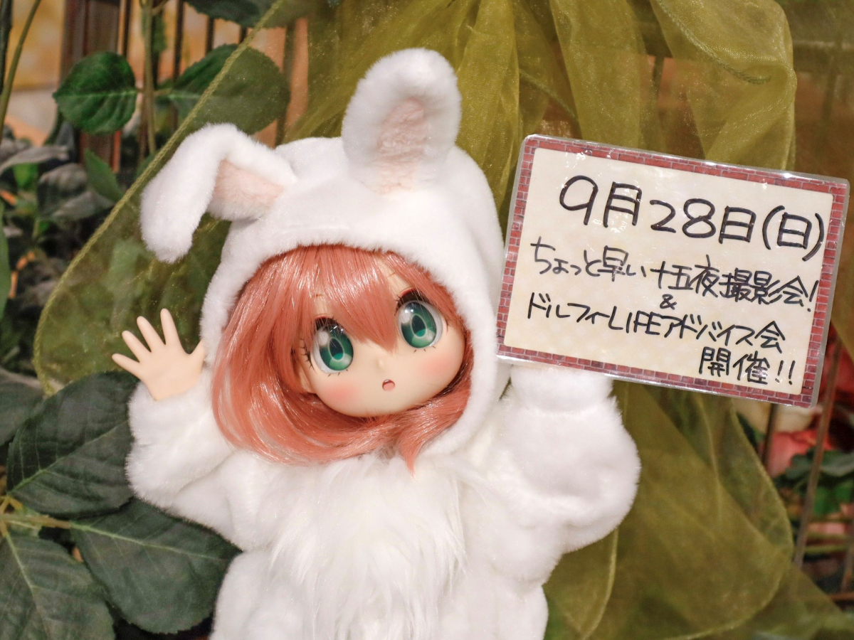 ９月28日（日）開催！「ちょっと早い十五夜撮影会！」＆「ドルフィー☆LIFEアドバイス会」のご案内♪