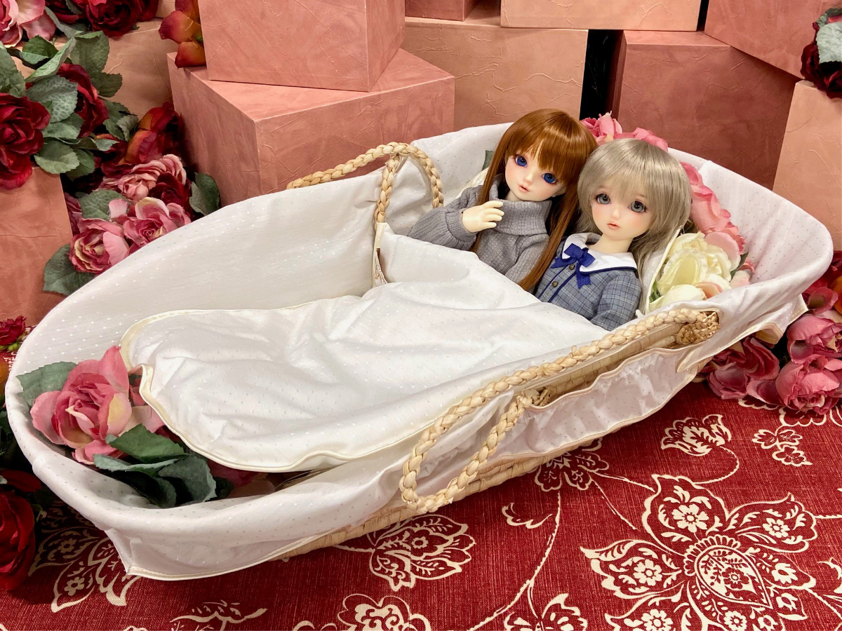 ドルフィーを可愛くディスプレイ♪店舗限定「ベビーバスケット」のご紹介！