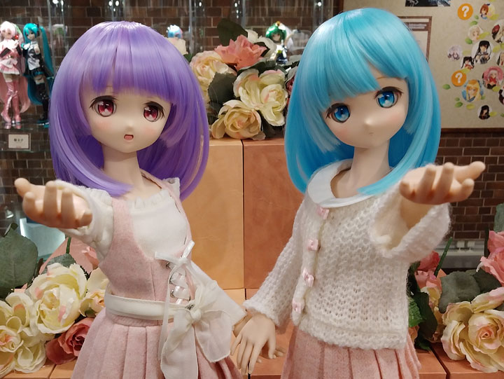 DDP リボン＆コロン」お迎えできます☆ | ドールポイント秋葉原 店舗