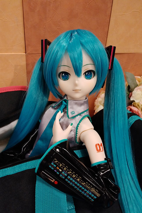 DD初音ミクキャリングケース改