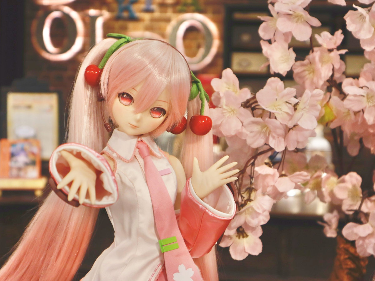 DD 桜ミク 2.0」『「お花見コーデ」セット』ただ今注文販売受付