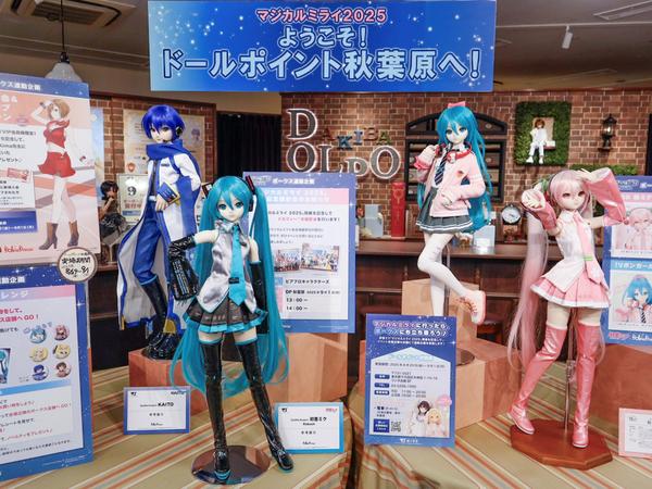 ダークドリーム ウィッグ 確認用 コスプレ用ウィッグ ダークナイト ― コスプレウィッグ総合専門店