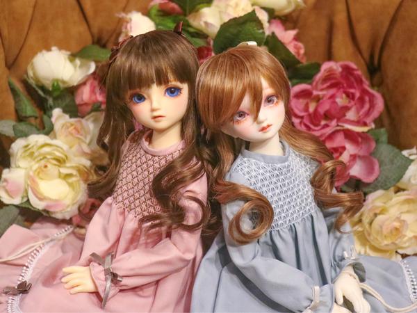 D'COORD」をお迎えしてみよう♪ | ドールポイント秋葉原 店舗