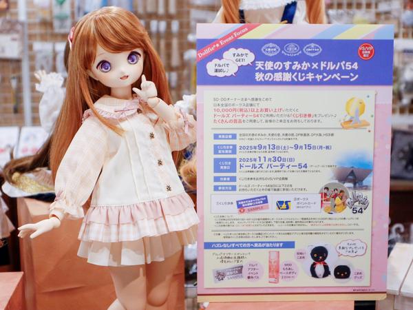 ドリームチョイス DDH DC-H-26 カスタムヘッド DDドリームチョイス ヘッド紹介 DC-H-26編♪ | ドールポイント