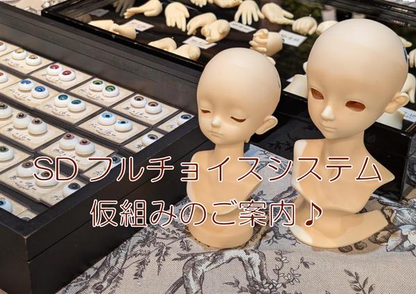 DDスタンダードモデル】DD キャンディ・DD 未来のご紹介です