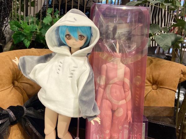 DDスタンダードモデル】DD キャンディ・DD 未来のご紹介です