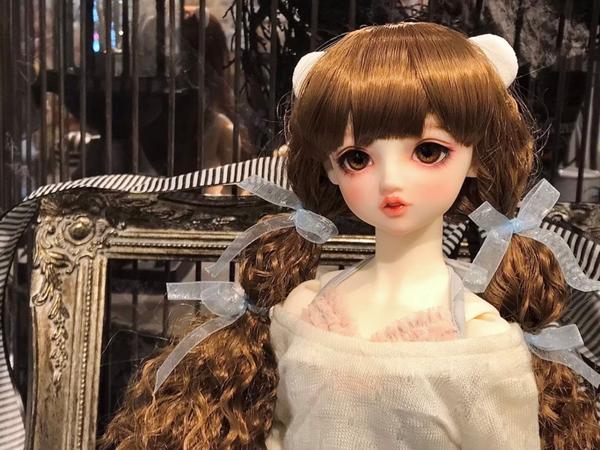 ◆DD キャンディ＆未来 スタンダード  Memorial Edition DDスタンダードモデル「DD 未来」「DD キャンディ」のご紹介