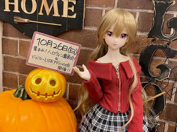 ◇DD キャンディ＆未来 スタンダード Memorial Edition DDスタンダード