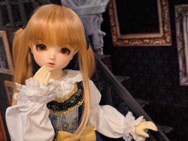 DDスタンダードモデル】DD キャンディ・DD 未来のご紹介です