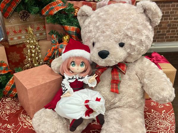 DDスタンダードモデル】DD キャンディ・DD 未来のご紹介です