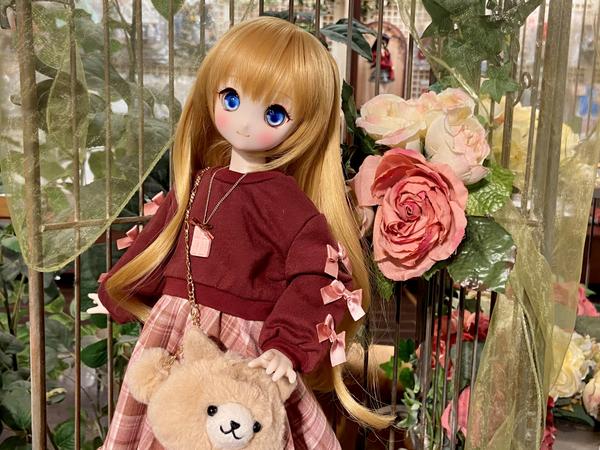 DDスタンダードモデル】DD キャンディ・DD 未来のご紹介です