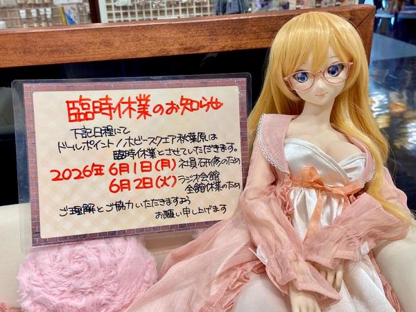 ドルフィー初めてシリーズ④】SD・DDのサイズについて | 天使のすみか