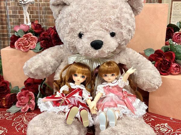 ドリームチョイス】大人気ヘッドDC-H-25をご紹介します♪ | ドール