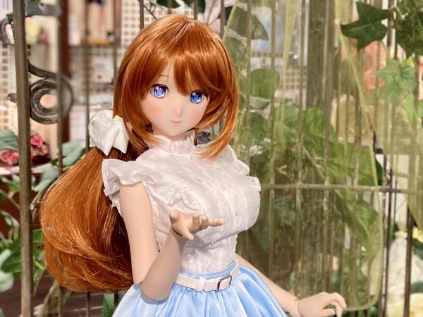 DDスタンダードモデル】DD キャンディ・DD 未来のご紹介です