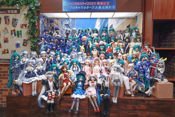 DDスタンダードモデル「DD 未来」「DD キャンディ」のご紹介