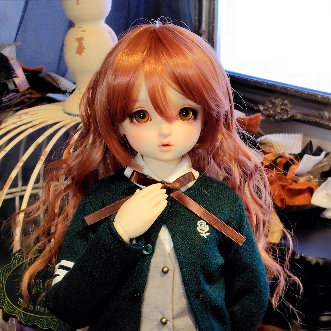【福岡店】再入荷！只今お迎え可能な注目ドルフィーのご紹介です！