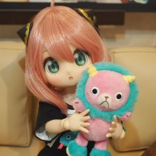 今週末のイベントのご案内です！