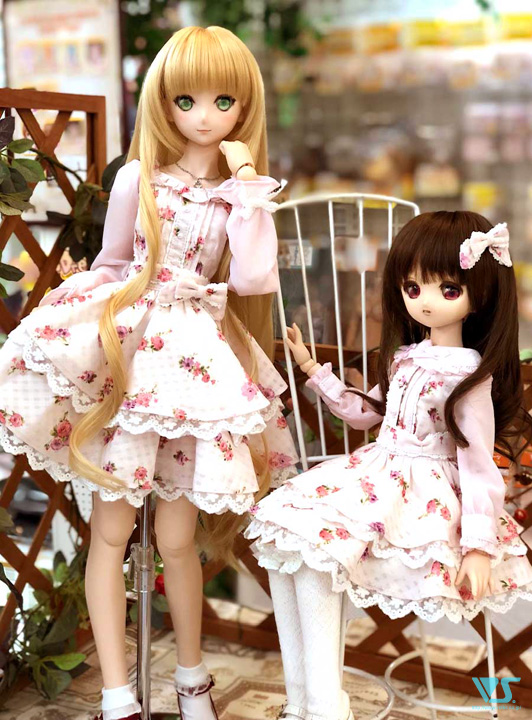 オックスフォードブルー HINANA QUEENNA 月の兎(紺)JSKコーデセット
