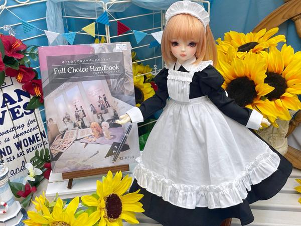 レア　新品 月姫 真祖の姫ドレスセット DDドルフィードリーム 真祖の姫」セット | 月姫 -A piece of blue glass moon
