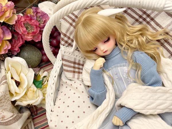 【新品未開封】DREAM 5形態×10セット ブースターパック 異界探訪編 夢装 イデアライズ ｜ Z/X