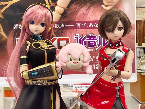 DDスタンダードモデルのご紹介☆ | 天使のすみか・広島店 店舗ブログ