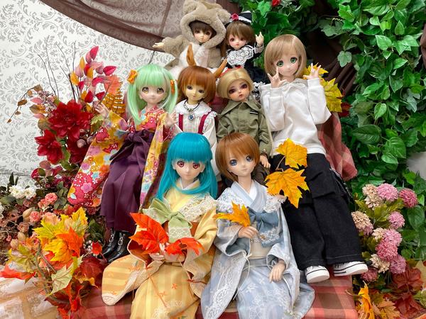 ドリームチョイス】ぷにっと可愛い♪DC-H-19のご紹介です！ | ドール