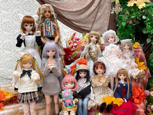 ドルフィー®☆LIFEアドバイス会」ご参加ありがとうございました＆次回