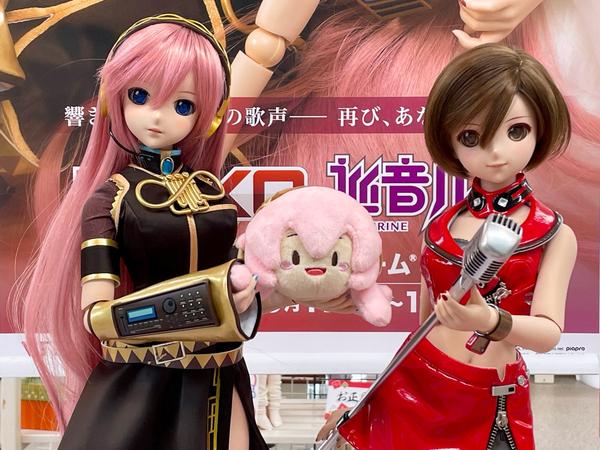 ドルフィー初めてシリーズ④】SD・DDのサイズについて | 天使のすみか