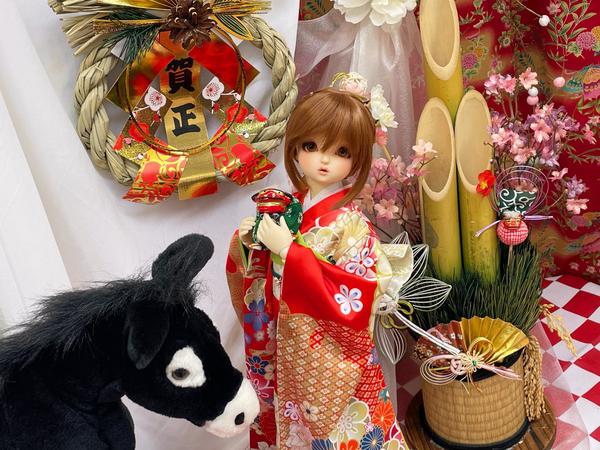 ドルフィー用エレガントノワールレース日傘販売中です | 天使の窓 店舗