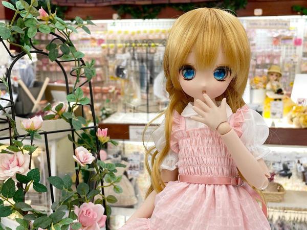 魅力をお届け♪】幼SD まい ニコ メル展示中です | 天使の窓 店舗