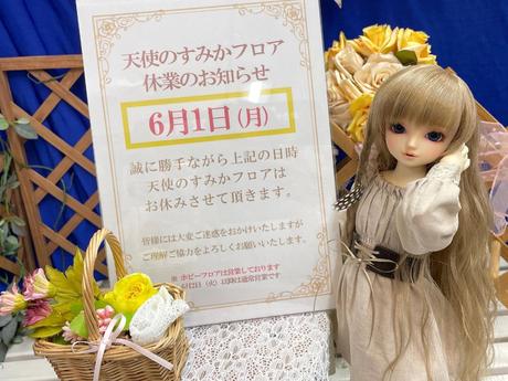 天使のすみか・広島店 天使のすみか便り | ボークス