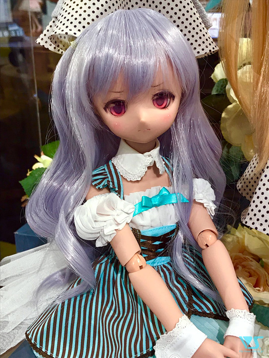 DDドリームチョイス「褐色肌」がスタート☆ - ドールポイント秋葉原 