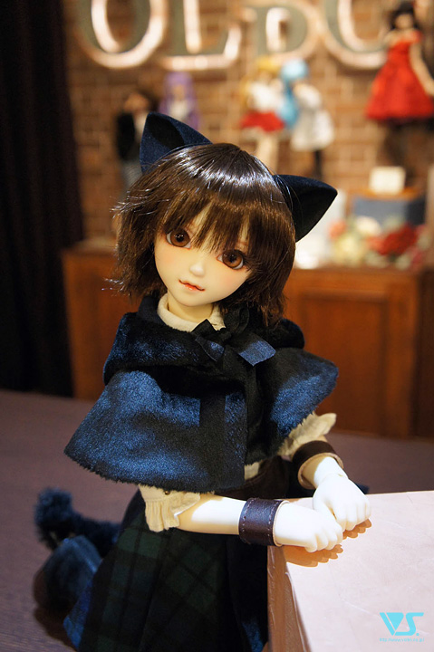 SDC女の子 黒猫ルネお迎え出来ます♪ - ドールポイント秋葉原 | 株式 