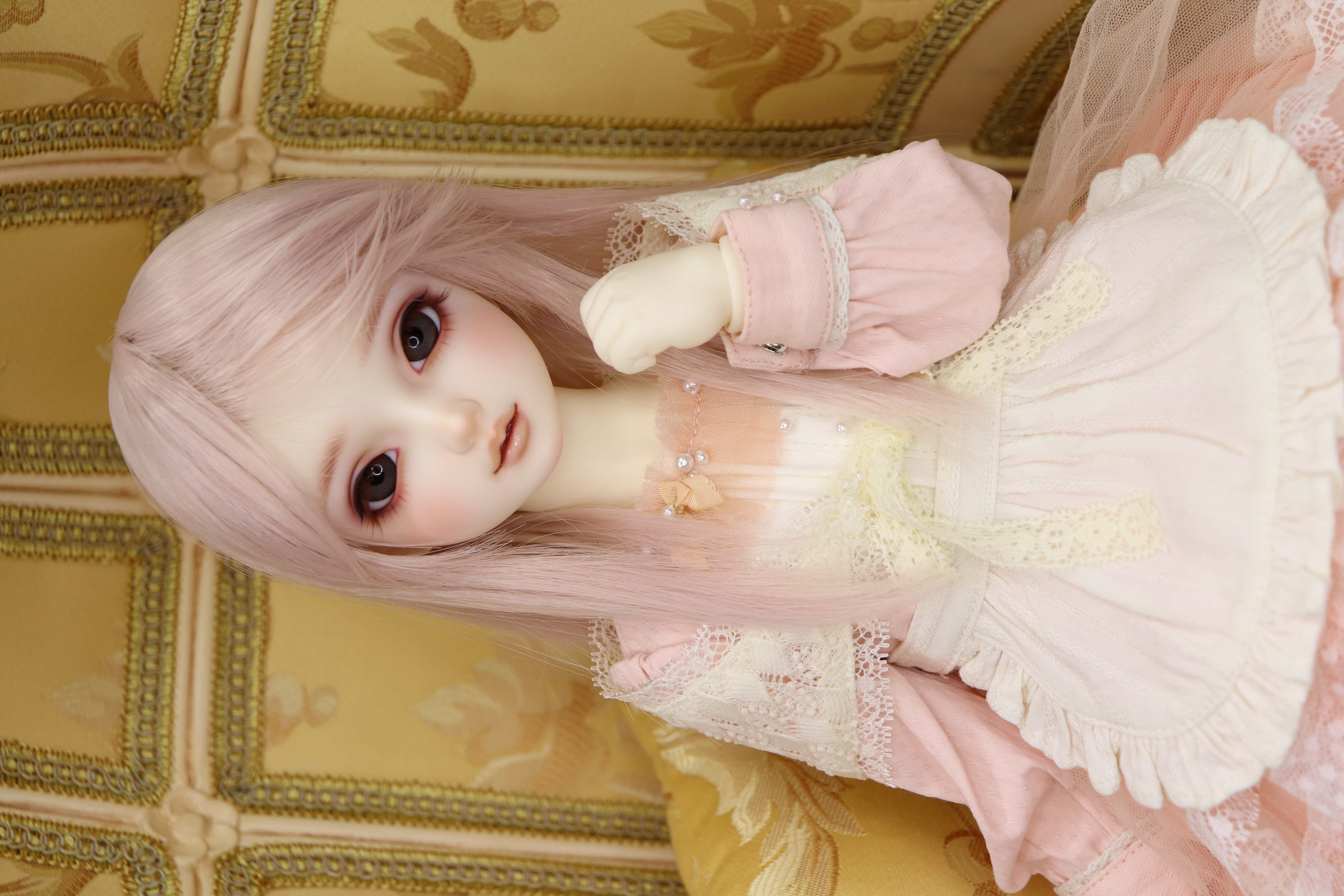 「Dear SD 抱っこ体験」開催のご案内♪