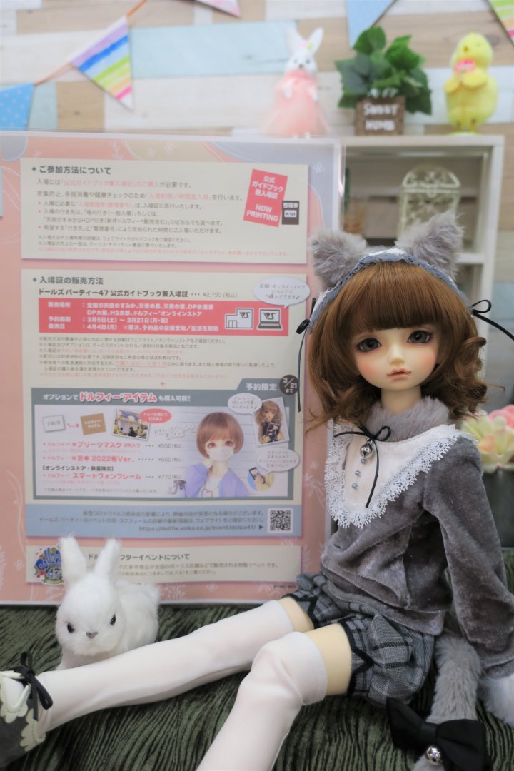ドルパ47 公式ガイドブック兼入場証 Aグループ ドールズ