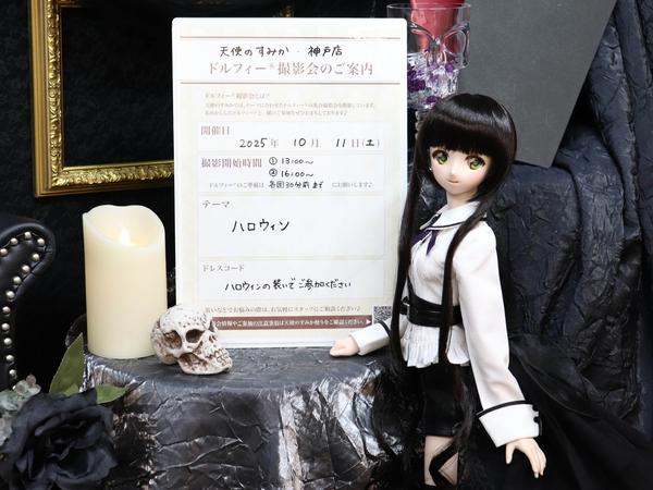 SDMここ、MDDもちあしベースボディ2.0など人気商品再入荷しました