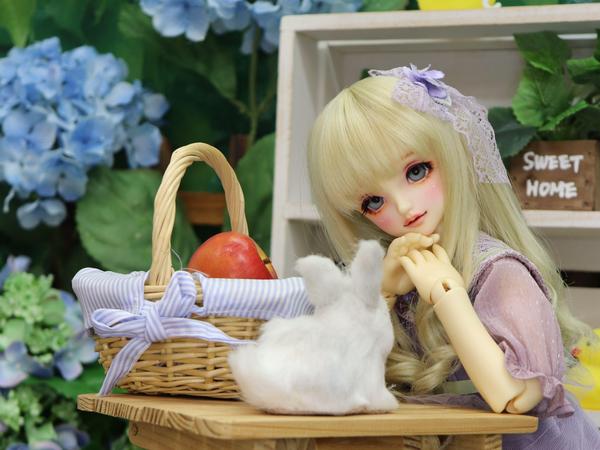 DDドリームチョイス】セミホワイト肌がオーダーできるのは3月末まで