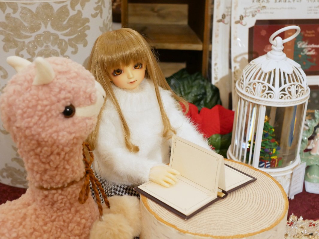 1206_01.JPG