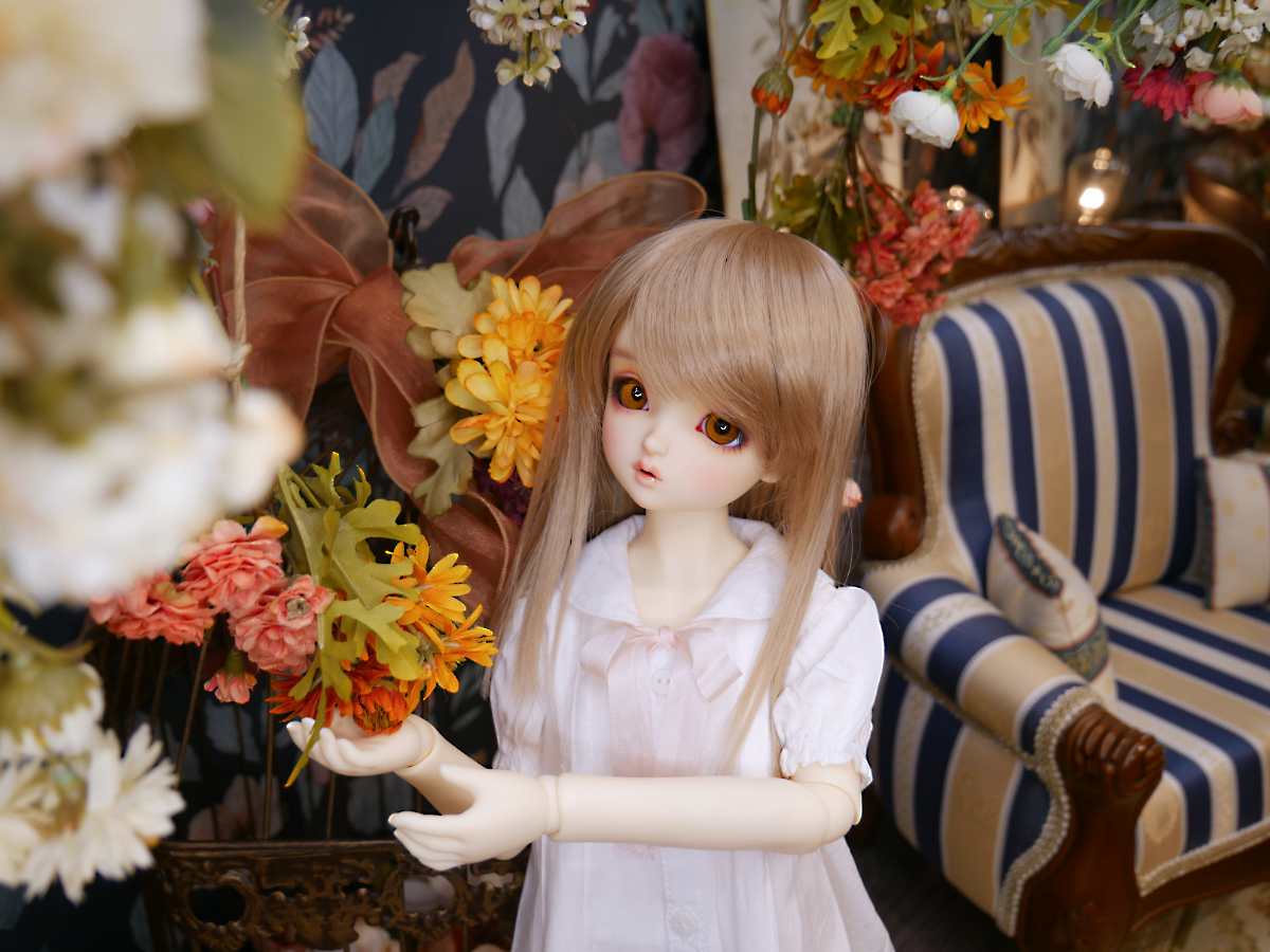 SDスタンダードモデル再入荷いたしました♪（2025.05.09)