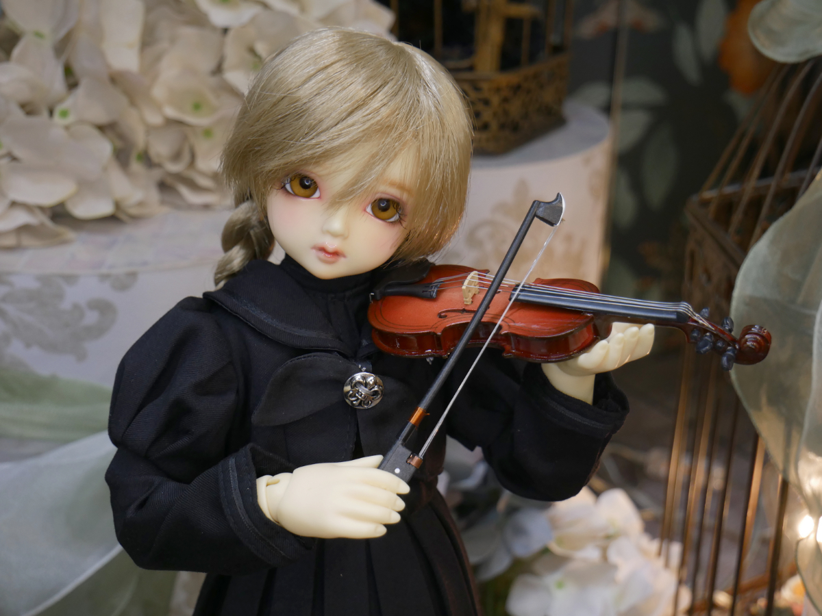 2025年10月11日（土）より発売のディスプレイアイテム　大人気のバイオリンのご紹介です♪