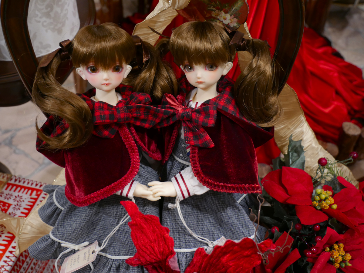 【ご案内】天使の窓　休館日（2025.11.25）