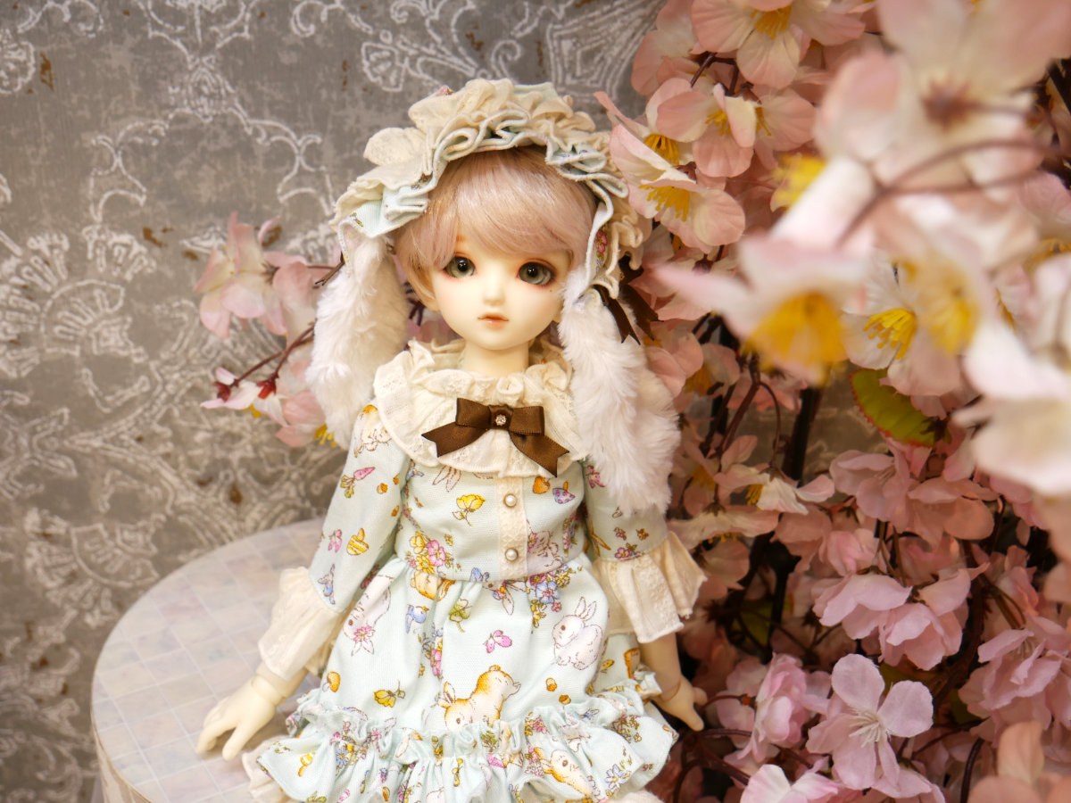 dat_0408_29.jpg