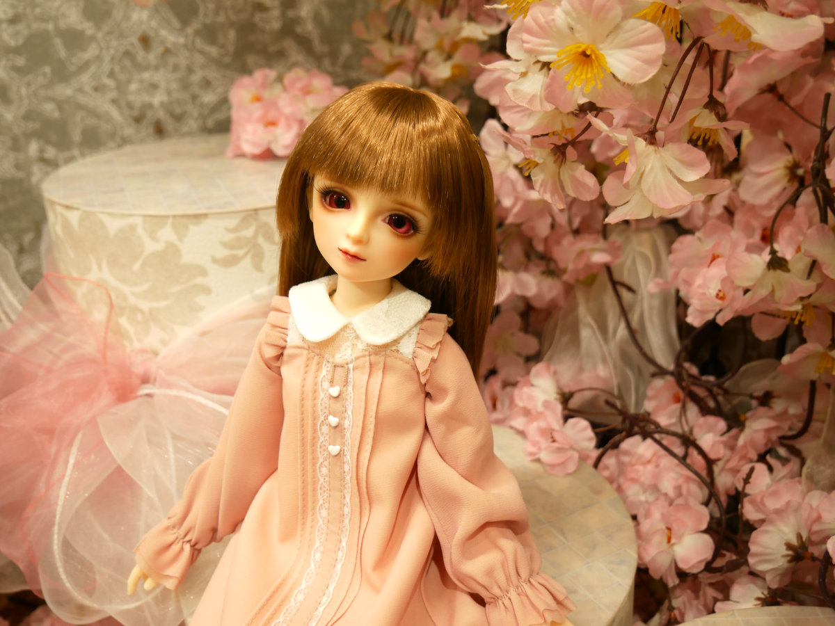 dat_0408_38.jpg