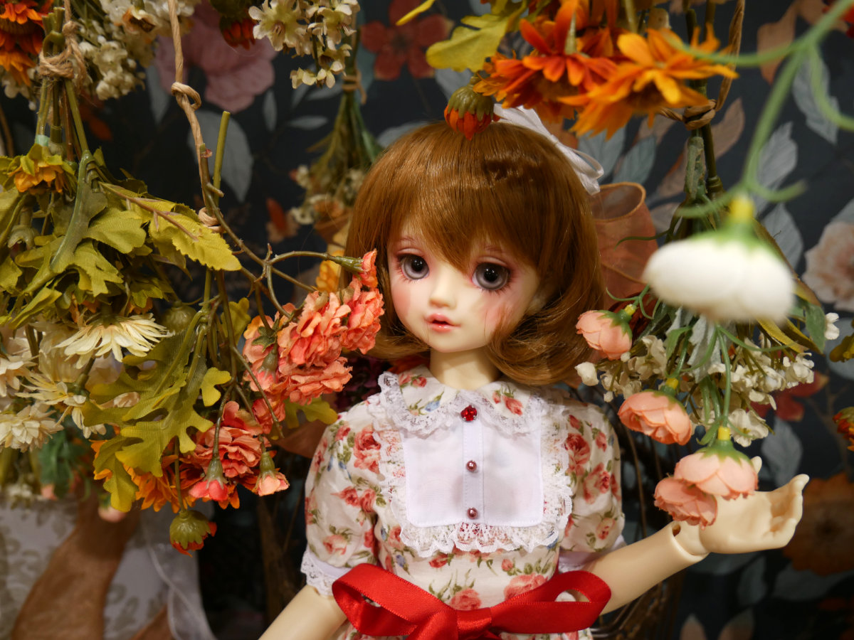 dat_0408_44.jpg