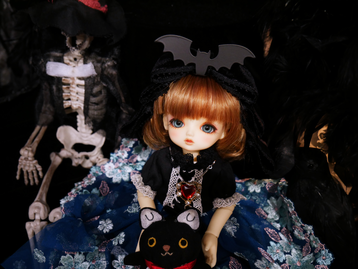 「Halloweenのドレスで撮影♪ すみか便りデビュー」ご参加ドルフィーのご紹介です♪その1（2025.09.20）